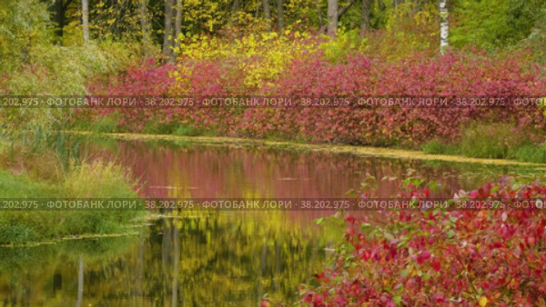 Александровский парк (Царское Село). Ланский пруд. Alexander Park (Tsarskoye Selo). Lansky Pond. (2021 год). Редакционное видео, видеограф Евгений Романов / Фотобанк Лори