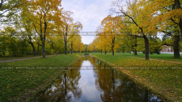 Александровский парк (Царское Село). Осенние клены по берегам Крестового канала. Alexander Park (Tsarskoye Selo). Autumn maples along the banks of the Krestovy Canal. (2021 год). Редакционное видео, видеограф Евгений Романов / Фотобанк Лори