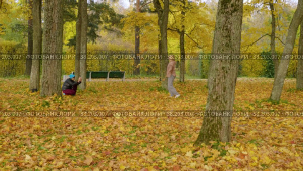 Александровский парк (Царское Село). Женщины фотографируются с кленовыми листьями в куртине "Грибок". (2021 год). Редакционное видео, видеограф Евгений Романов / Фотобанк Лори