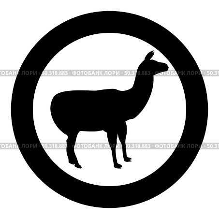 Alpaca Llama Lama Guanaco silhouette in circle round black color vector illustration solid outline style simple image. Alpaca Llama Lama Guanaco silhouette in circle round black color vector illustration solid outline style image. Стоковая иллюстрация, агентство Ingram Publishing / Фотобанк Лори