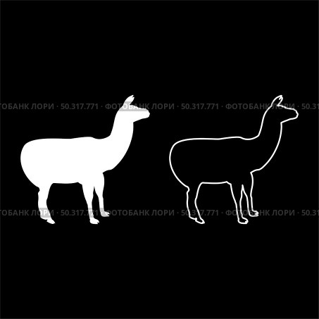 Alpaca Llama Lama Guanaco silhouette white color vector illustration solid outline style simple image. Alpaca Llama Lama Guanaco silhouette white color vector illustration solid outline style image. Стоковая иллюстрация, агентство Ingram Publishing / Фотобанк Лори
