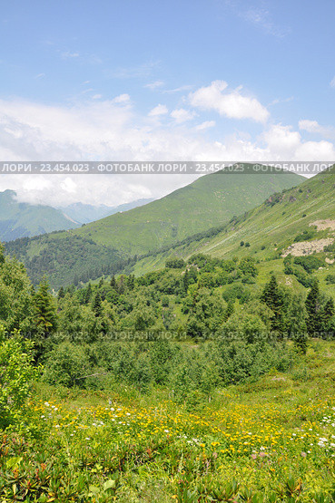 Альпийские луга в горах Кавказа (2016 год). Стоковое фото, фотограф Наталья Краснобаева / Фотобанк Лори