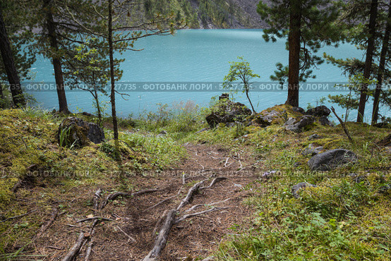 Алтай. Берег Шавлинского озера (2013 год). Стоковое фото, фотограф Gagara / Фотобанк Лори