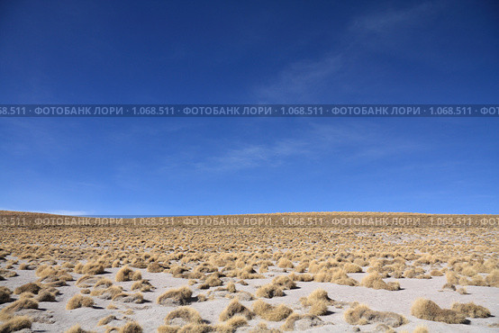Альтиплано (2009 год). Стоковое фото, фотограф Кирилл Трифонов / Фотобанк Лори