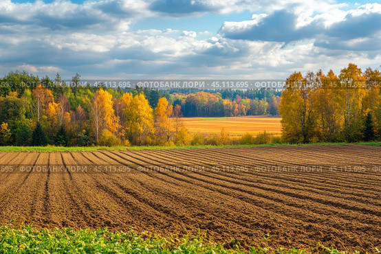 An autumn rural landscape with a view of a ploughed field and a forest belt on the horizon. The field is evenly ploughed, with clear parallel furrows, and the trees in the background are painted in golden yellow and green autumn hues. The sky is slightly cloudy, but bright rays of the sun illuminate the landscape, giving a warm and cozy atmosphere. The contrast between the dark earth and the bright autumn trees creates a harmonious composition, reflecting the beauty of autumn in the countryside. Стоковое AI-изображение, AI-художник Анна Кривицкая / Фотобанк Лори