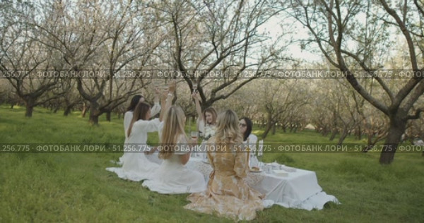 An Elegant Picnic Gathering Taking Place in a Blooming Orchard During a Beautiful Afternoon. Стоковое видео, видеограф Cantemir Dumitru / Фотобанк Лори