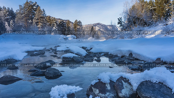 An ice-free river flows between snowdrifts. Fluffy frost on the stones. Steam over the water. Mountain range and coniferous forest against the blue sky. Altai. Katun. Стоковое фото, фотограф Вера Ивановна Кубарева / Фотобанк Лори