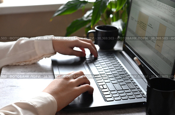 Analyst office work Remote work and education, freelance. Стоковое фото, фотограф Вербицкая Светлана / Фотобанк Лори