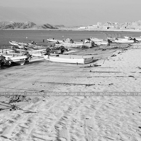 and seagull near ocean in oman boat in the coastline . Стоковое фото, агентство Ingram Publishing / Фотобанк Лори