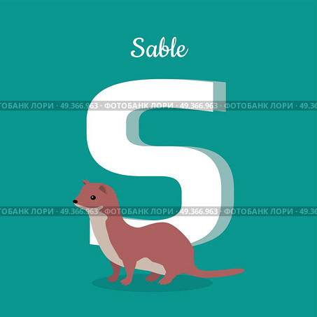 Animal alphabet vector concept. Flat style. Zoo ABC with wild animal. Sable standing on blue background, letter S behind. Educational glossary. For children s books, textbooks illustrating. Animal Alphabet Concept in Flat Design. Animal Alphabet Concept in Flat Design. Стоковая иллюстрация, агентство Ingram Publishing / Фотобанк Лори