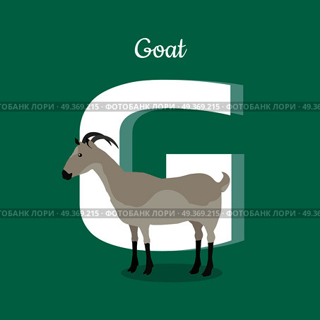 Animal alphabet vector concept. Flat style. Zoo ABC with domestic animal. Grey goat standing on green background, letter G behind. Educational glossary. For children s books, textbooks illustrating. Animal Alphabet Concept in Flat Design. Animal Alphabet Concept in Flat Design. Стоковая иллюстрация, агентство Ingram Publishing / Фотобанк Лори