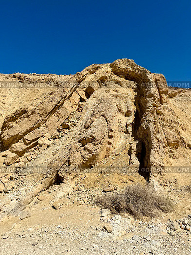 Anticline is a geological fold of rock strata with the convexity facing upwards. Стоковое фото, фотограф Irina Opachevsky / Фотобанк Лори
