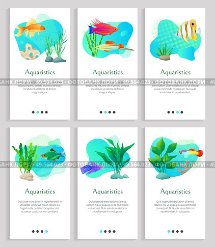 Aquaristics tropical and exotic fish vector, seaweed and marine life flora and fauna. Floral decor and animals diversity, aquatic dwellers. Multicolored fish swim in an aquarium. Website or slider app. Aquaristics Fish and Seaweed, Tropical Animals. Стоковая иллюстрация, агентство Ingram Publishing / Фотобанк Лори