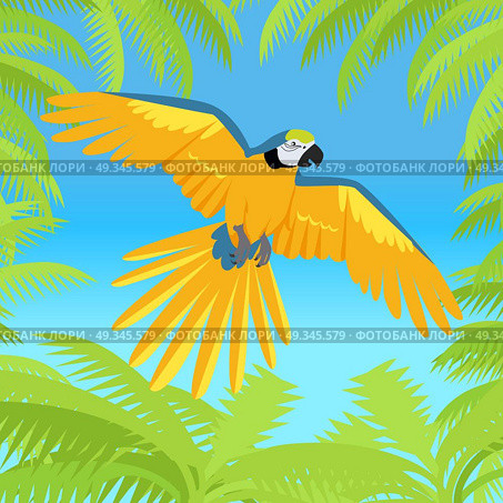 Ara Parrot Flat Design Vector Illustration. Ara parrot vector. Birds of Amazonian forests in flat design illustration. Fauna of South America. Flying colorful Ara parrot in jungle for posters, childrens books illustrating. Isolated on white. Стоковая иллюстрация, агентство Ingram Publishing / Фотобанк Лори