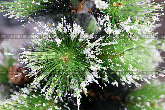 Artificial pine branch with artificial snow. Стоковое фото, фотограф Irina Opachevsky / Фотобанк Лори