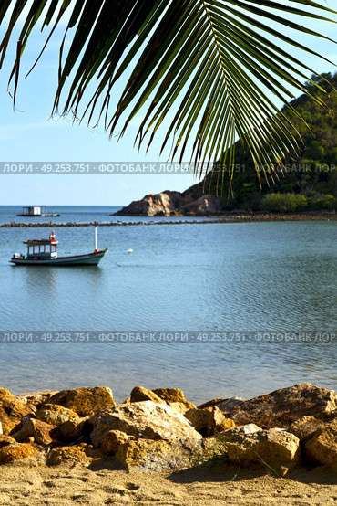 asia in  kho phangan thailand bay isle   beach    rocks pirogue palm and south china sea . Стоковое фото, агентство Ingram Publishing / Фотобанк Лори