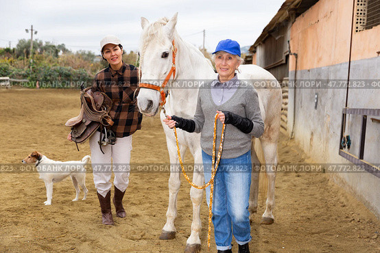 Asian woman holding saddle while older woman rancher leading horse outdoors. Стоковое фото, фотограф Яков Филимонов / Фотобанк Лори