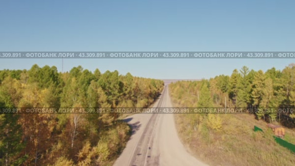 Asphalt roadway on a sunny autumn day. Road through autumn forest. Aerial view. Стоковое видео, видеограф Виктория Тельминова / Фотобанк Лори
