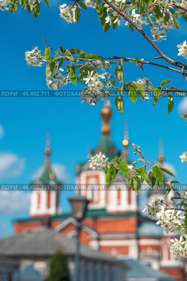 Assumption Brusensky convent in Kolomna, Moscow region, Russia. Cathedral of The Exaltation of The Life-Giving Cross Krestovozdvizhensky. Blur. Стоковое фото, фотограф Оксана Медведева / Фотобанк Лори