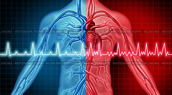 Atrial Fibrillation disorder heart problem and ecg as a coronary cardiac attack with irregular and normal organ rythm as chest discomfort disease concept as a person suffering from a circulation illness in a 3D illustration style. Стоковое фото, агентство Ingram Publishing / Фотобанк Лори