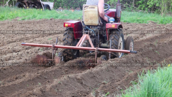 Attached equipment on mini tractor for plowing potato field, home-made harrow cultivator for formation of row spacing. Стоковое видео, видеограф Владимир Григорьев / Фотобанк Лори