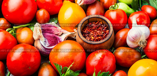 Autumn harvest of tomatoes.Canning tomatoes.Pickling of ripe tomatoes. Pickling or canning tomatoes. Стоковое фото, агентство Ingram Publishing / Фотобанк Лори