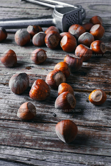 Autumn harvest walnuts and hazelnuts.Photo tinted. nutcracker with hazelnuts. Стоковое фото, агентство Ingram Publishing / Фотобанк Лори