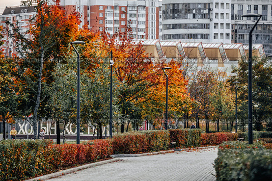 Autumn in modern Moscow park Khodynskoe pole. Стоковое фото, фотограф Галина Царькова / Фотобанк Лори