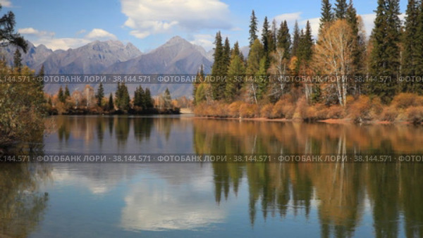 Autumn landscape with yellowed trees on banks of Irkut River and mountains of Eastern Sayan in distance on sunny September day. Baikal region, Buryatia, Tunka foothill valley. Стоковое видео, видеограф Виктория Катьянова / Фотобанк Лори