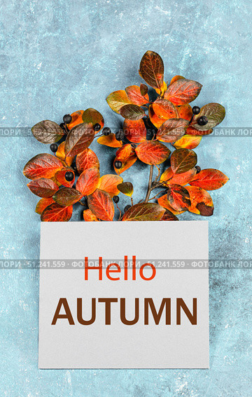 Autumn leaves arrangement with greeting card Hello autumn on textured blue backdrop Seasonal decor. Стоковое фото, фотограф Наталья Семкина / Фотобанк Лори