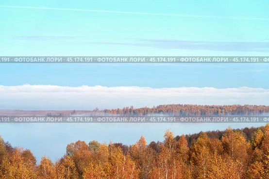 Autumn morning with dissipating fog over a river with an island. Trees with red foliage along the river bank and on the island. Стоковое фото, фотограф Роман Дзюбало / Фотобанк Лори
