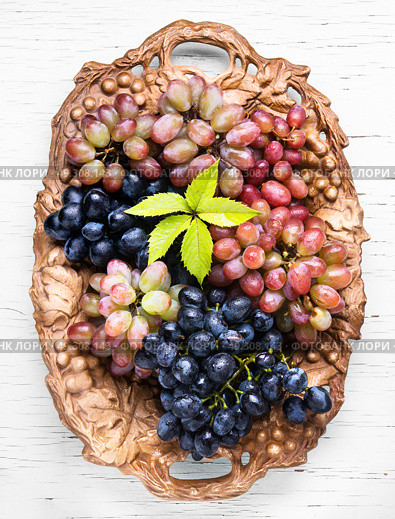 autumn ripe grapes. tray with ripe brushes of grapevine of autumn varieties. Стоковое фото, агентство Ingram Publishing / Фотобанк Лори
