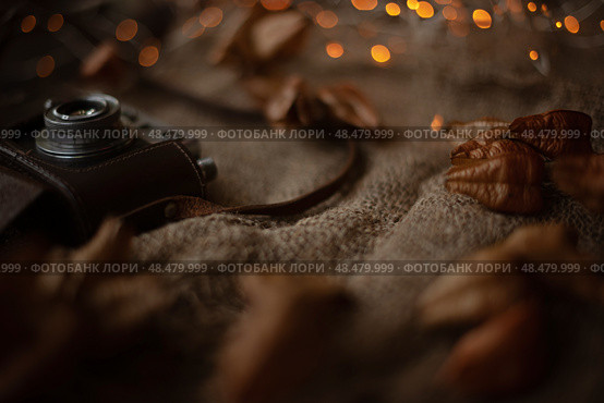 Autumn vintage background composition with retro photo camera. Стоковое фото, фотограф София Тюленева / Фотобанк Лори
