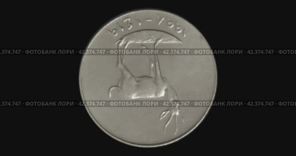 Аверс монеты ОАЭ 25 филсов на черном фоне. Бесшовная анимация. Obverse of United Arab Emirates coin 25 fils 1997, isolated in black background. Seamless animation in 4k resolution video. Стоковая анимация, аниматор Александр Кузнецов / Фотобанк Лори