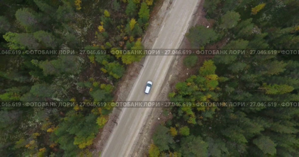 Автомобиль едет по грунтовой лесной дороге в осеннем лесу, проезжает развилку. Стоковое видео, видеограф Кекяляйнен Андрей / Фотобанк Лори