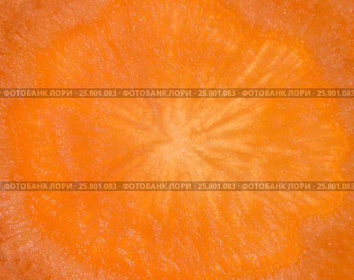Background of raw orange carrot raw, macro. Стоковое фото, фотограф Сергей Дорошенко / Фотобанк Лори