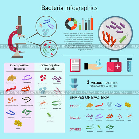 Bacteria and microorganisms infographic set with microscope and medical charts vector illustration. Стоковая иллюстрация, агентство Ingram Publishing / Фотобанк Лори