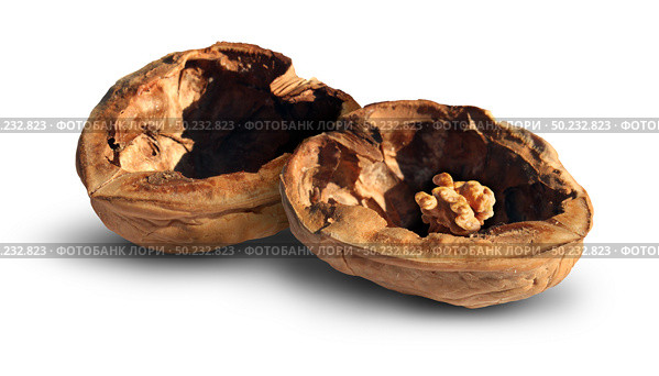 Bad investment return and shrinking savings as a financial metaphor and business failure concept as a walnut with a very small nut inside as an icon for economic investing disappointment. Стоковое фото, агентство Ingram Publishing / Фотобанк Лори