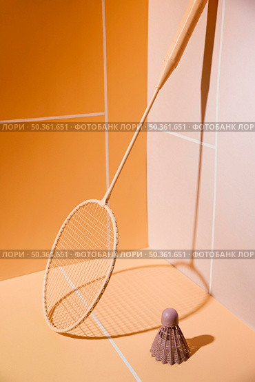 badminton racket shuttlecock. Стоковое фото, агентство Ingram Publishing / Фотобанк Лори