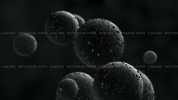 Бактерии. Стоковая анимация, аниматор Сергей Куров / Фотобанк Лори