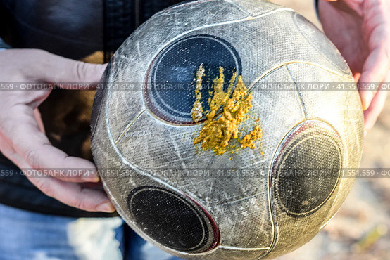 ball is in dog shit. The ball hitched. Стоковое фото, фотограф Леонид Еремейчук / Фотобанк Лори