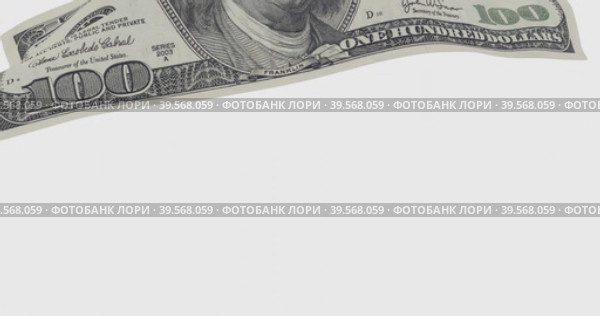 Банкнота номиналом 100 американских долларов падает на невидимую поверхность. Стоковая анимация, аниматор WalDeMarus / Фотобанк Лори