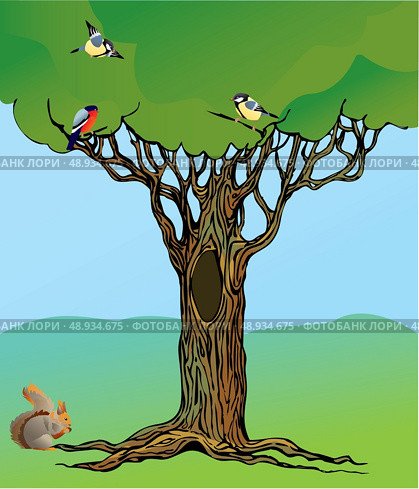 banner with fairy-tale rooted oak tree, squirrel and birds. Стоковая иллюстрация, агентство Ingram Publishing / Фотобанк Лори