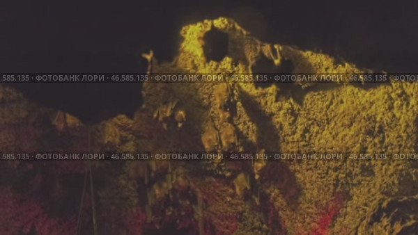 Bats hanging in cave. Стоковое видео, видеограф Михаил Коханчиков / Фотобанк Лори