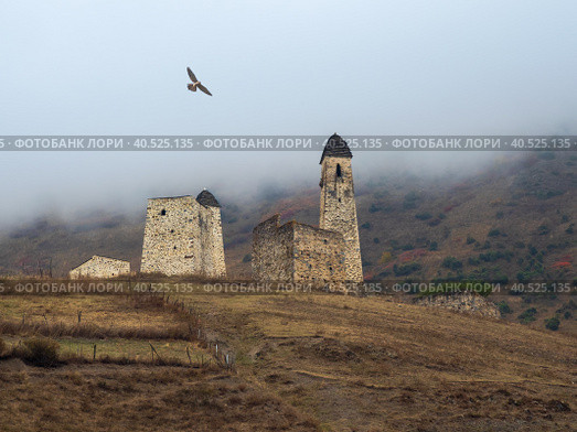 Battle towers Erzi in the Jeyrah gorge. Medieval tower complex Erzi, one of the largest medieval castle-type tower villages, located on the extremity of the mountain range in Ingushetia, Russia. (2022 год). Стоковое фото, фотограф Саблин Станислав / Фотобанк Лори