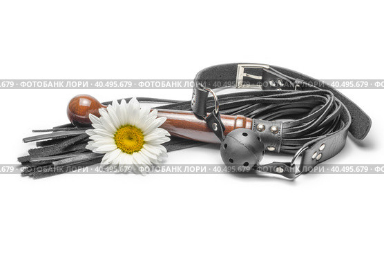 Bdsm black leather lash with gag and yellow daisy flower on a white background. Стоковое фото, фотограф Артем Курутин / Фотобанк Лори
