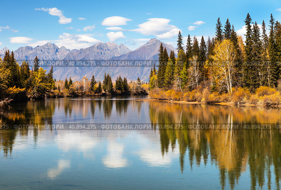 Beautiful autumn landscape with the Eastern Sayan Mountains and yellowed trees on the banks of the Irkut River. Natural seasonal background. Baikal region, Buryatia, Tunka foothill Valley. Стоковое фото, фотограф Виктория Катьянова / Фотобанк Лори
