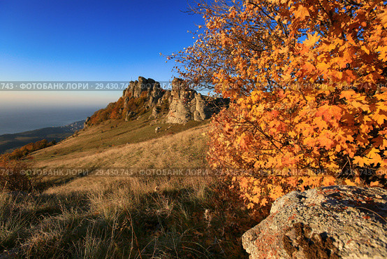 Beautiful Demerdzhi mountains and yellow maple tree leaves on a sunny autumn day (2018 год). Стоковое фото, фотограф Яна Королёва / Фотобанк Лори