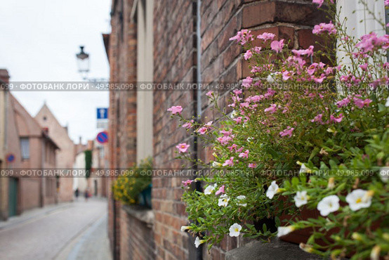 beautiful flowers on the balconies in Bruges. Balcony with flowers. Стоковое фото, агентство Ingram Publishing / Фотобанк Лори