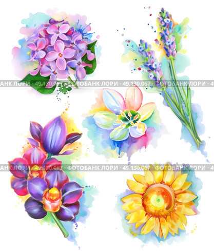 Beautiful flowers, watercolor painting, mesh vector icon set. Стоковая иллюстрация, агентство Ingram Publishing / Фотобанк Лори